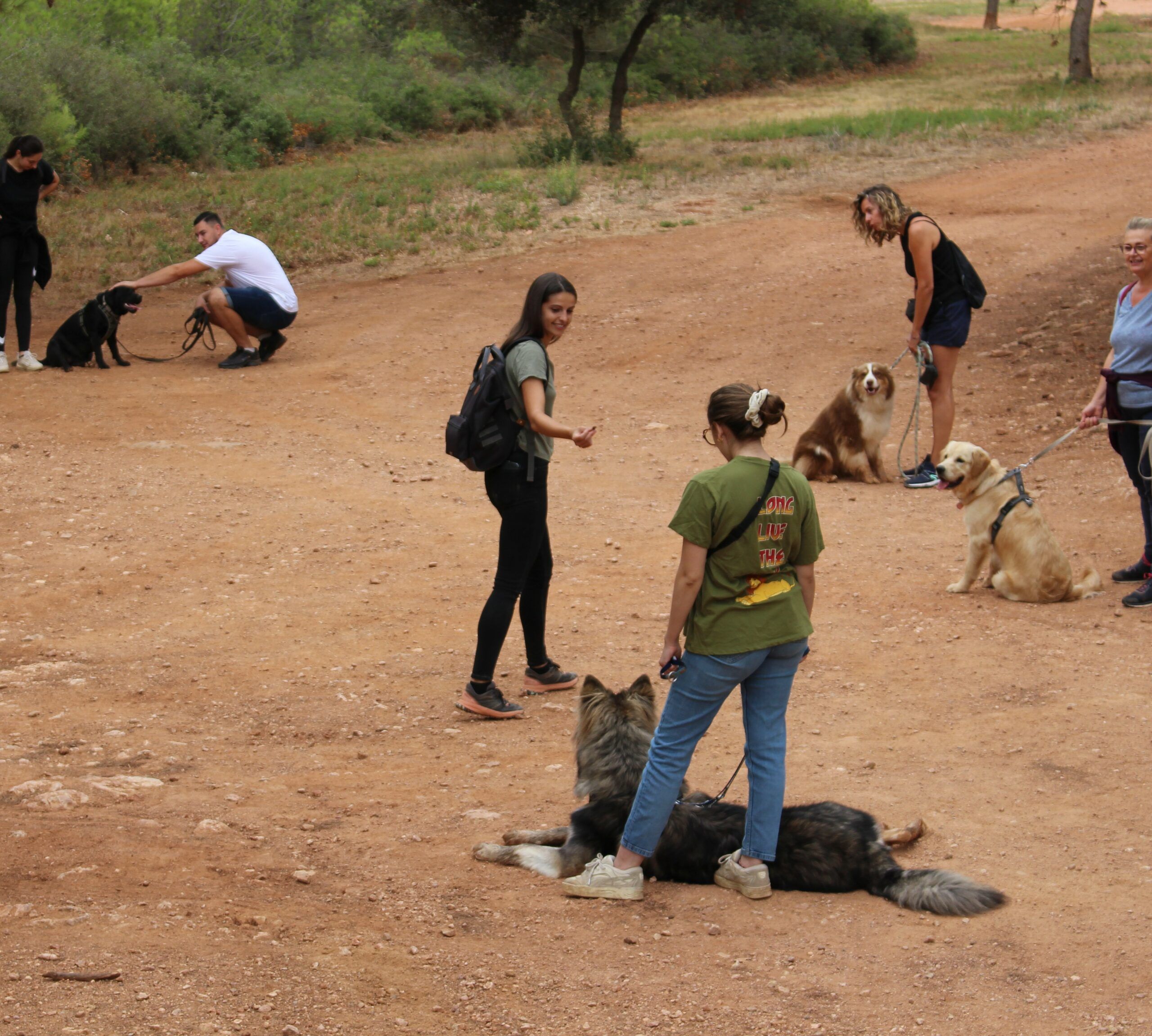 image1 Balade éducative